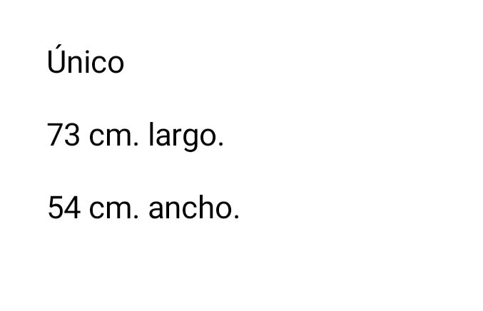 Saco Ami